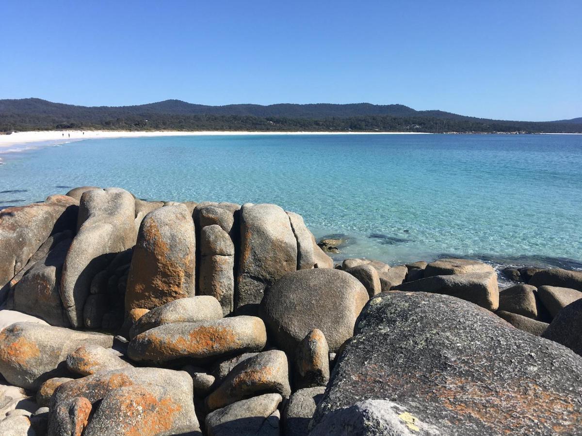 فيلا Bay Of Fires Great Escape Binalong Bay المظهر الخارجي الصورة
